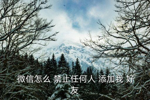  微信怎么 禁止任何人 添加我 好友