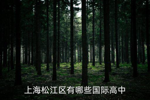 上海松江區(qū)有哪些國際高中