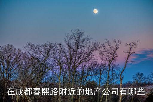 成都市春熙路所有的商業(yè)地產(chǎn)，在成都春熙路附近的地產(chǎn)公司有哪些