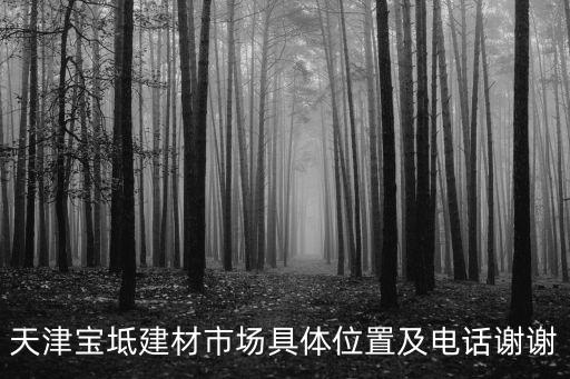 天津?qū)氎娼ú氖袌?chǎng)具體位置及電話謝謝