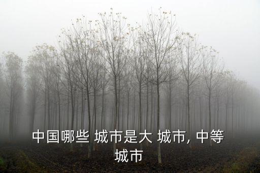 中國哪些 城市是大 城市, 中等 城市