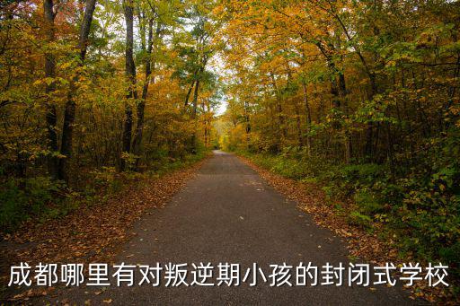 成都哪里有對叛逆期小孩的封閉式學校
