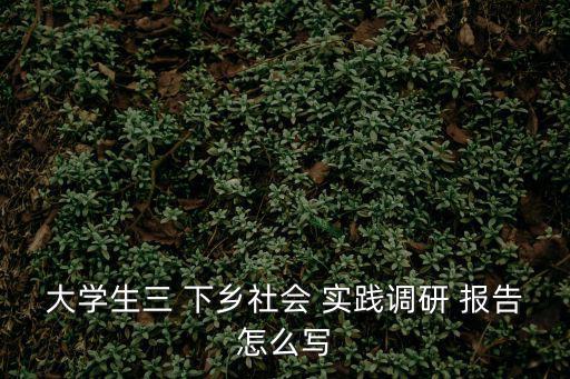 三下鄉實踐報告,下鄉社會實踐工作簡述參考大綱