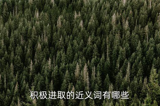 積極進取的近義詞有哪些