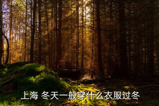 上海冬天,上海氣候溫和濕潤天馬山是上海陸地最高點