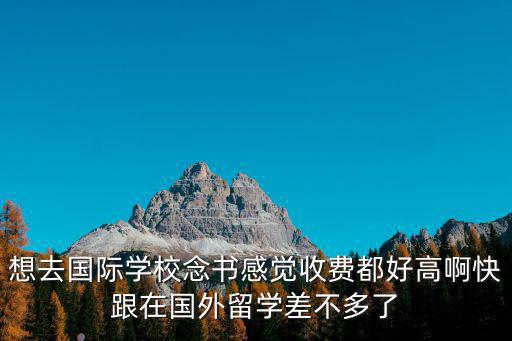 想去國際學校念書感覺收費都好高啊快跟在國外留學差不多了