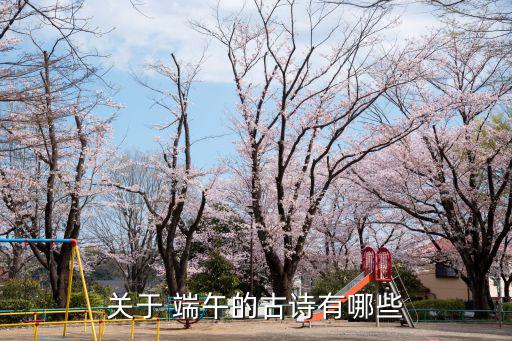關于 端午的古詩有哪些