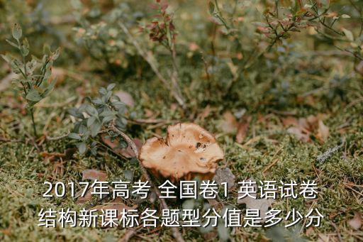 2017年高考 全國卷1 英語試卷結構新課標各題型分值是多少分