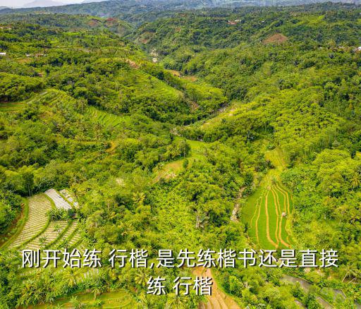 剛開始練 行楷,是先練楷書還是直接練 行楷
