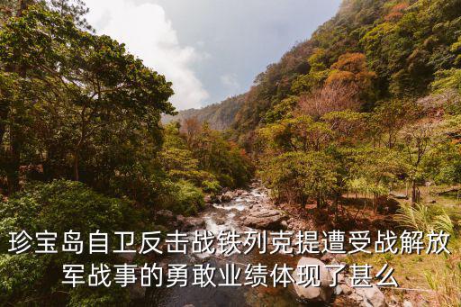 珍寶島自衛(wèi)反擊戰(zhàn)鐵列克提遭受戰(zhàn)解放軍戰(zhàn)事的勇敢業(yè)績體現(xiàn)了甚么