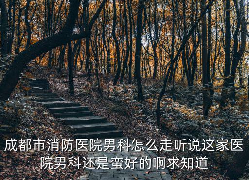 成都市消防醫(yī)院男科怎么走聽(tīng)說(shuō)這家醫(yī)院男科還是蠻好的啊求知道
