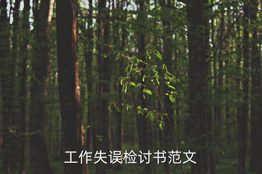工作檢討，工作犯錯檢討書范文