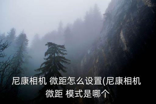 尼康相機 微距怎么設(shè)置(尼康相機 微距 模式是哪個