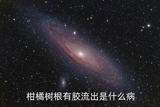 柑橘樹根有膠流出是什么病