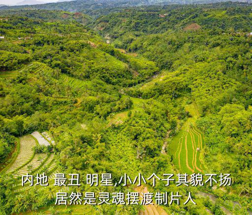 亞洲最丑明星榜,我和你一樣期待明年的選舉