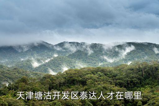 天津市塘沽區泰達人才市場，天津泰達人才服務中心具體地址在什么地方
