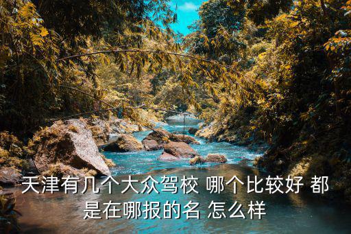 天津有幾個大眾駕校 哪個比較好 都是在哪報的名 怎么樣