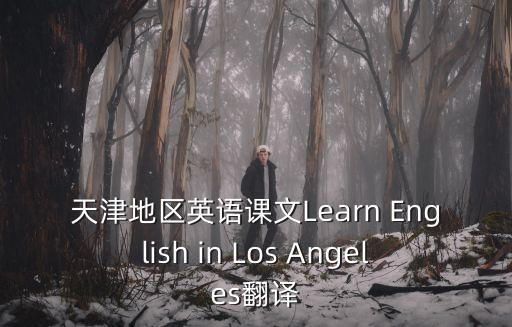 天津地區(qū)英語課文Learn English in Los Angeles翻譯