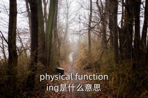 physical functioning是什么意思