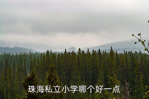 珠海私立學校有哪些比較好的，珠海哪家私立中學好