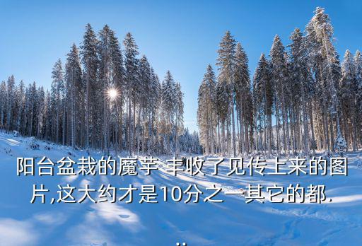 豐收的圖片,《麥田里的烏鴉》下個月15日決定是否豐收