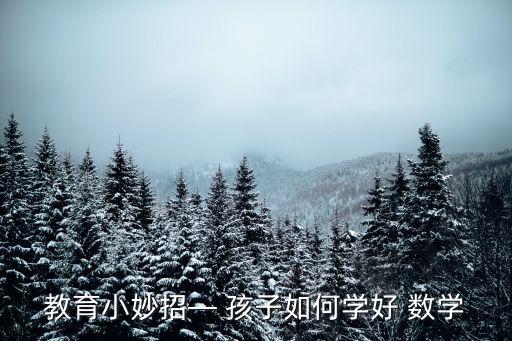 教育小妙招— 孩子如何學(xué)好 數(shù)學(xué)