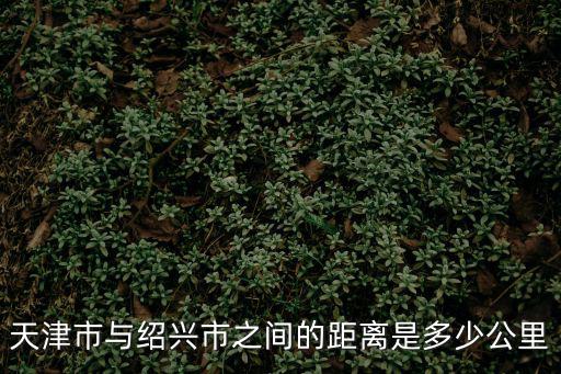 天津市與紹興市之間的距離是多少公里