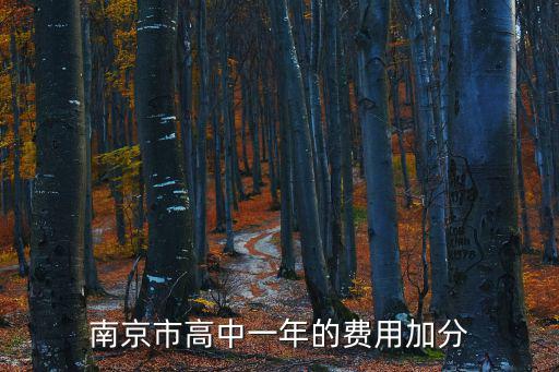 南京市高中一年的費用加分