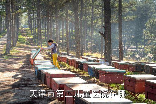 天津市第二兒童醫(yī)院官方網(wǎng)站，天津第二兒童醫(yī)院預(yù)約掛號(hào)