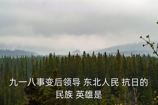 東北抗日英雄,東北抗日聯(lián)軍與日偽軍正規(guī)軍血戰(zhàn)11年抗戰(zhàn)