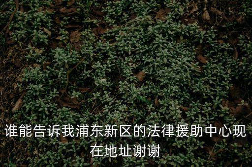 誰能告訴我浦東新區的法律援助中心現在地址謝謝