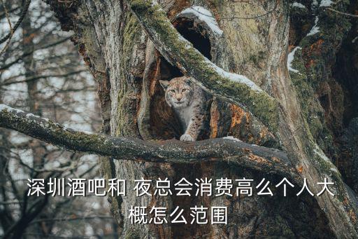  深圳酒吧和 夜總會消費高么個人大概怎么范圍