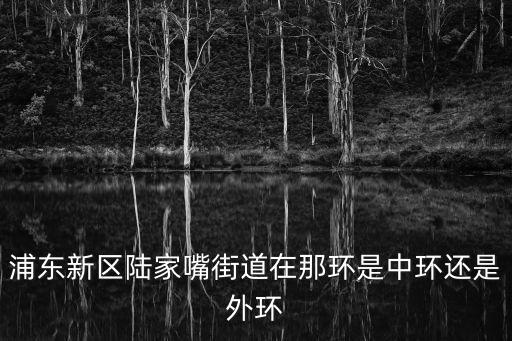 浦東新區陸家嘴街道在那環是中環還是外環