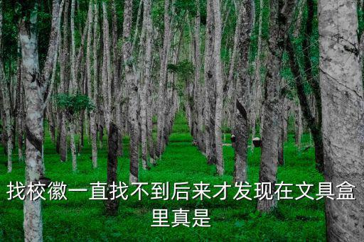 找校徽一直找不到后來才發現在文具盒里真是