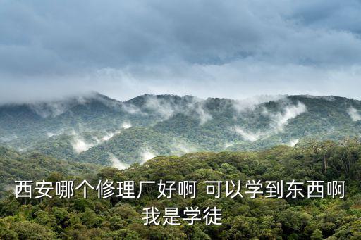 西安哪個修理廠好啊 可以學到東西啊 我是學徒