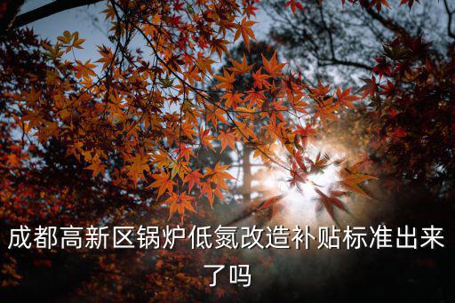 成都高新區鍋爐低氮改造補貼標準出來了嗎