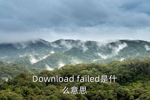 Download failed是什么意思