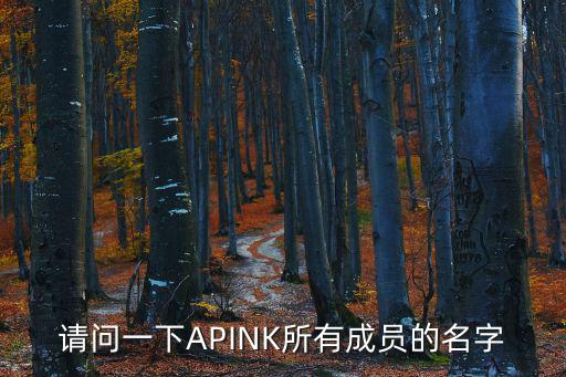 請問一下APINK所有成員的名字