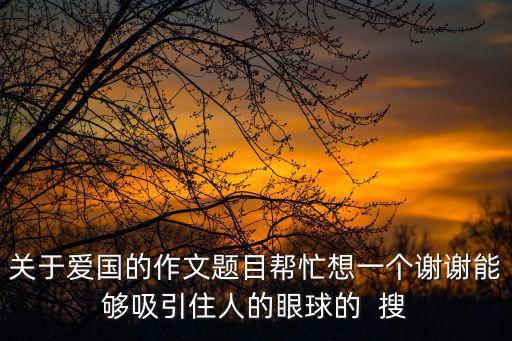 關(guān)于愛(ài)國(guó)的作文題目幫忙想一個(gè)謝謝能夠吸引住人的眼球的  搜