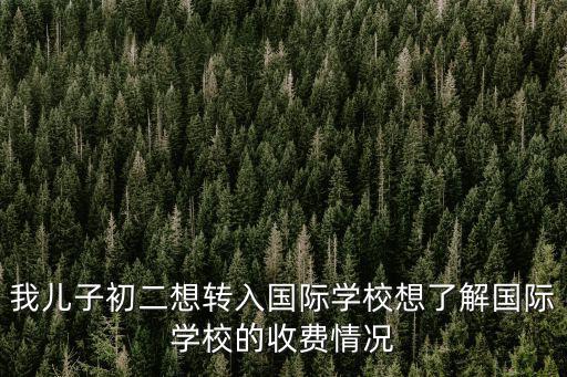墨爾文國際學(xué)校成都學(xué)費(fèi)，怎么進(jìn)成都墨爾文學(xué)校一年學(xué)費(fèi)是多少高中的