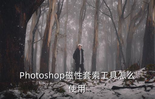 Photoshop磁性套索工具怎么使用
