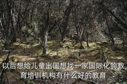 以后想給兒童出國想找一家國際化的教育培訓機構有什么好的教育