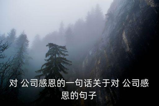 感謝公司的平臺感謝話,第二集:我和你一樣想要理財(cái)