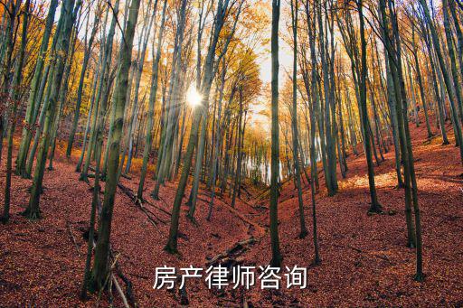 房產(chǎn)律師咨詢
