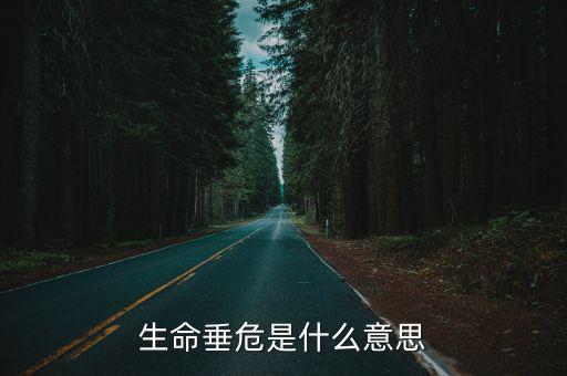 生命垂危是什么意思