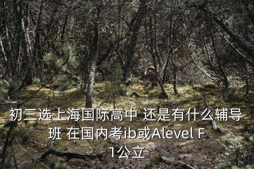 初三選上海國(guó)際高中 還是有什么輔導(dǎo)班 在國(guó)內(nèi)考ib或Alevel F1公立