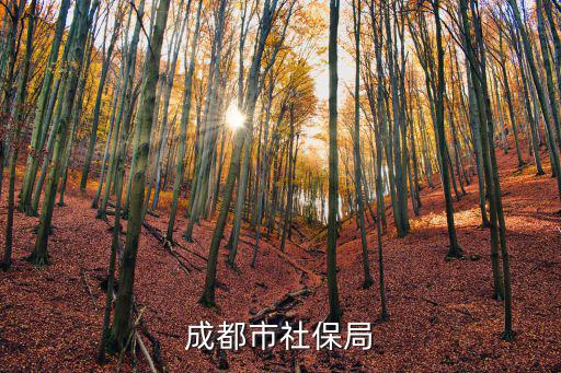 成都市社保局
