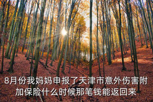 8月份我媽媽申報了天津市意外傷害附加保險什么時候那筆錢能返回來