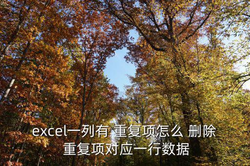 excel一列有 重復(fù)項(xiàng)怎么 刪除 重復(fù)項(xiàng)對(duì)應(yīng)一行數(shù)據(jù)