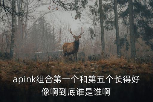 apink組合第一個和第五個長得好像啊到底誰是誰啊